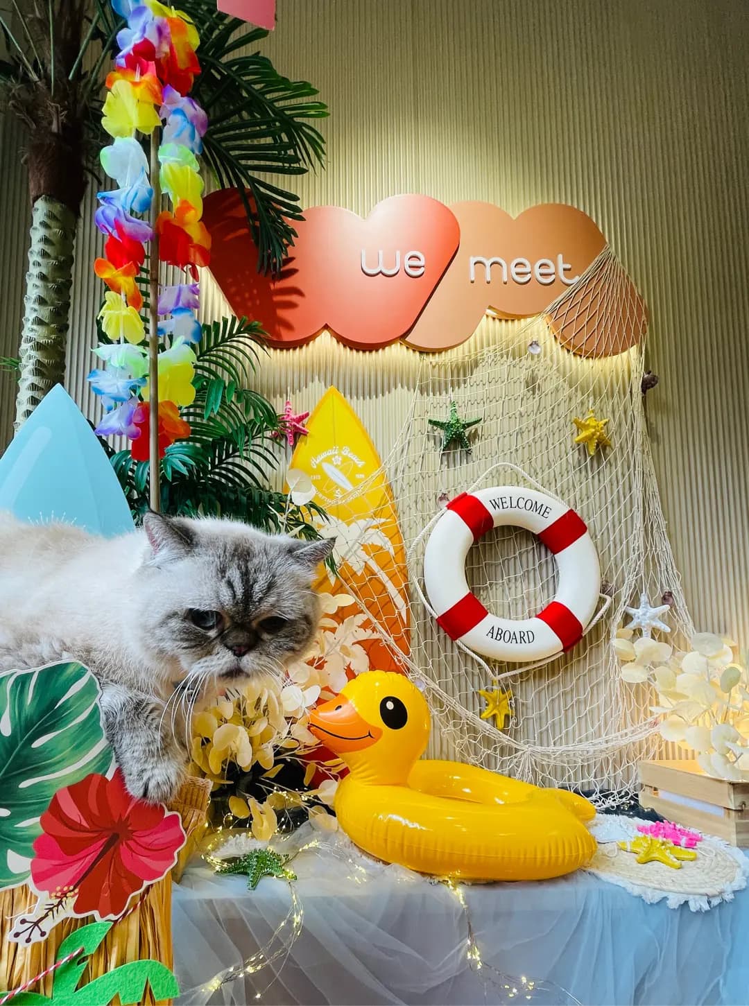 Treasure Cafe photo 1