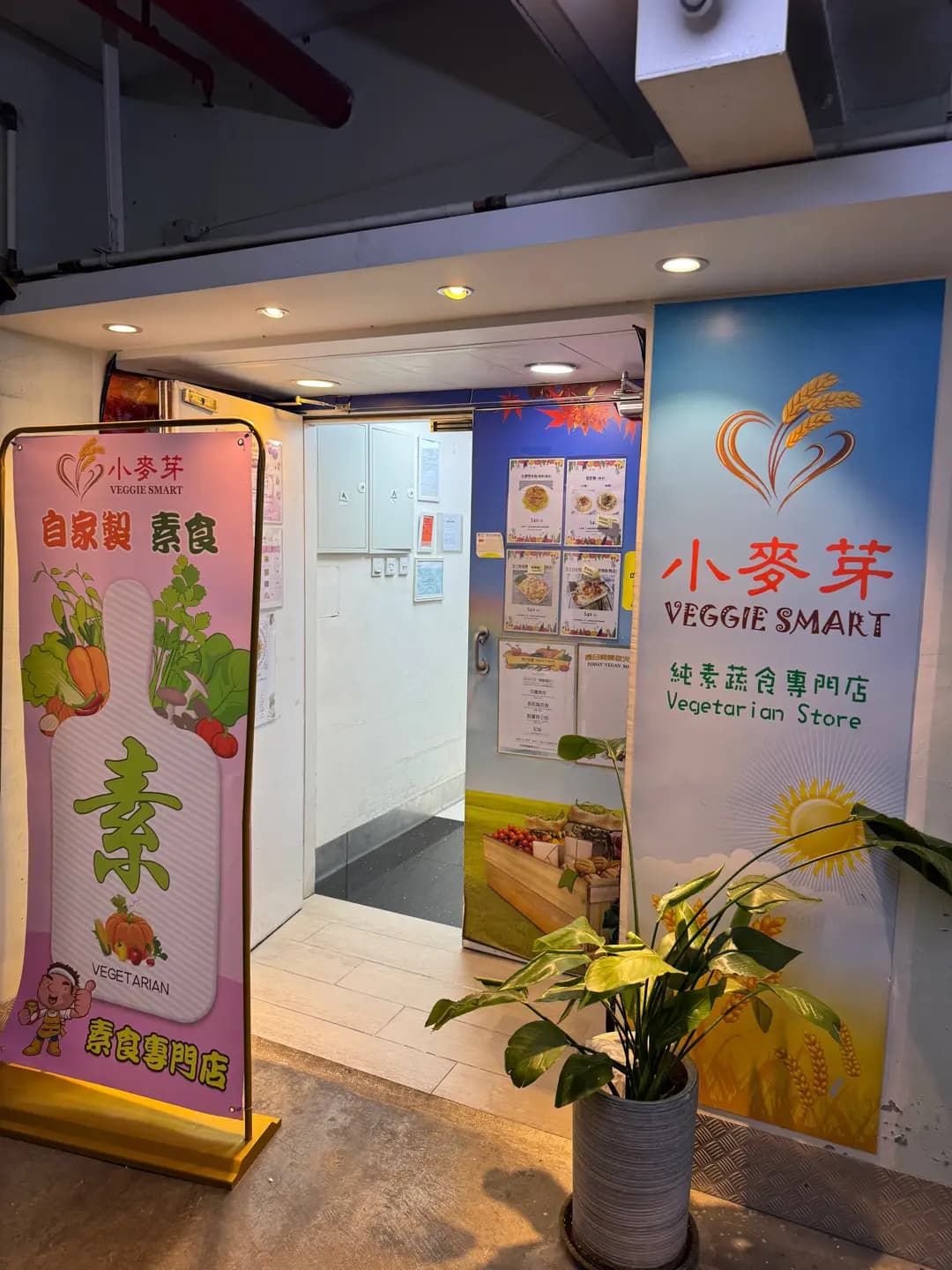 小麥芽 photo 6