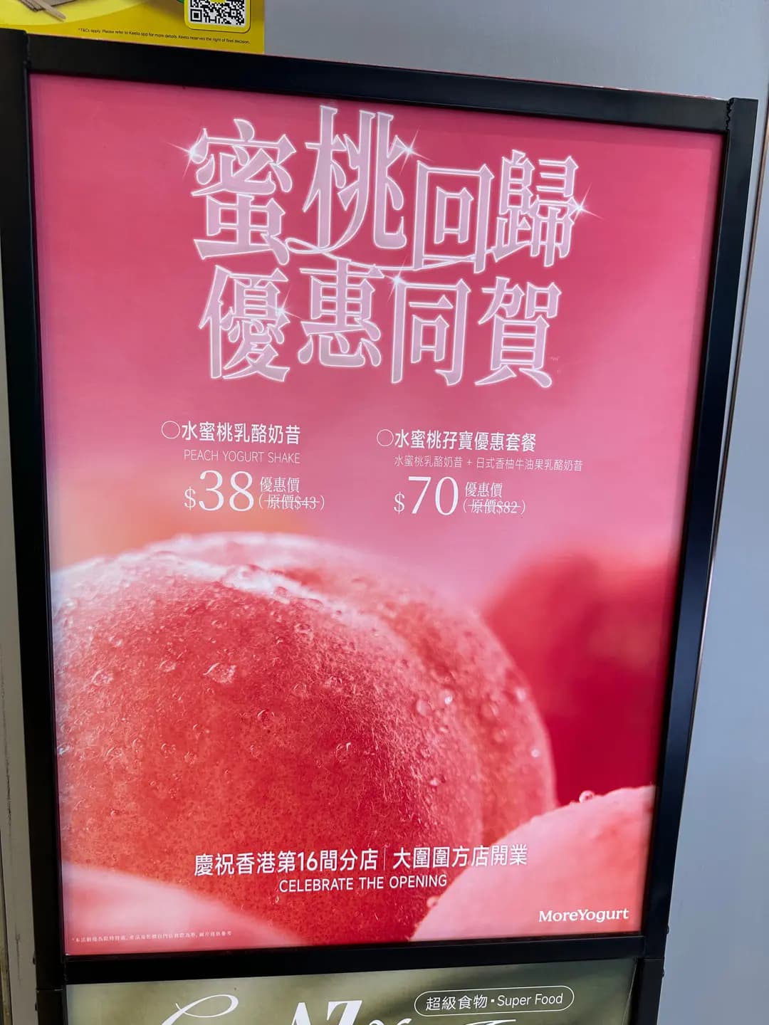 MORE YOGURT photo 2