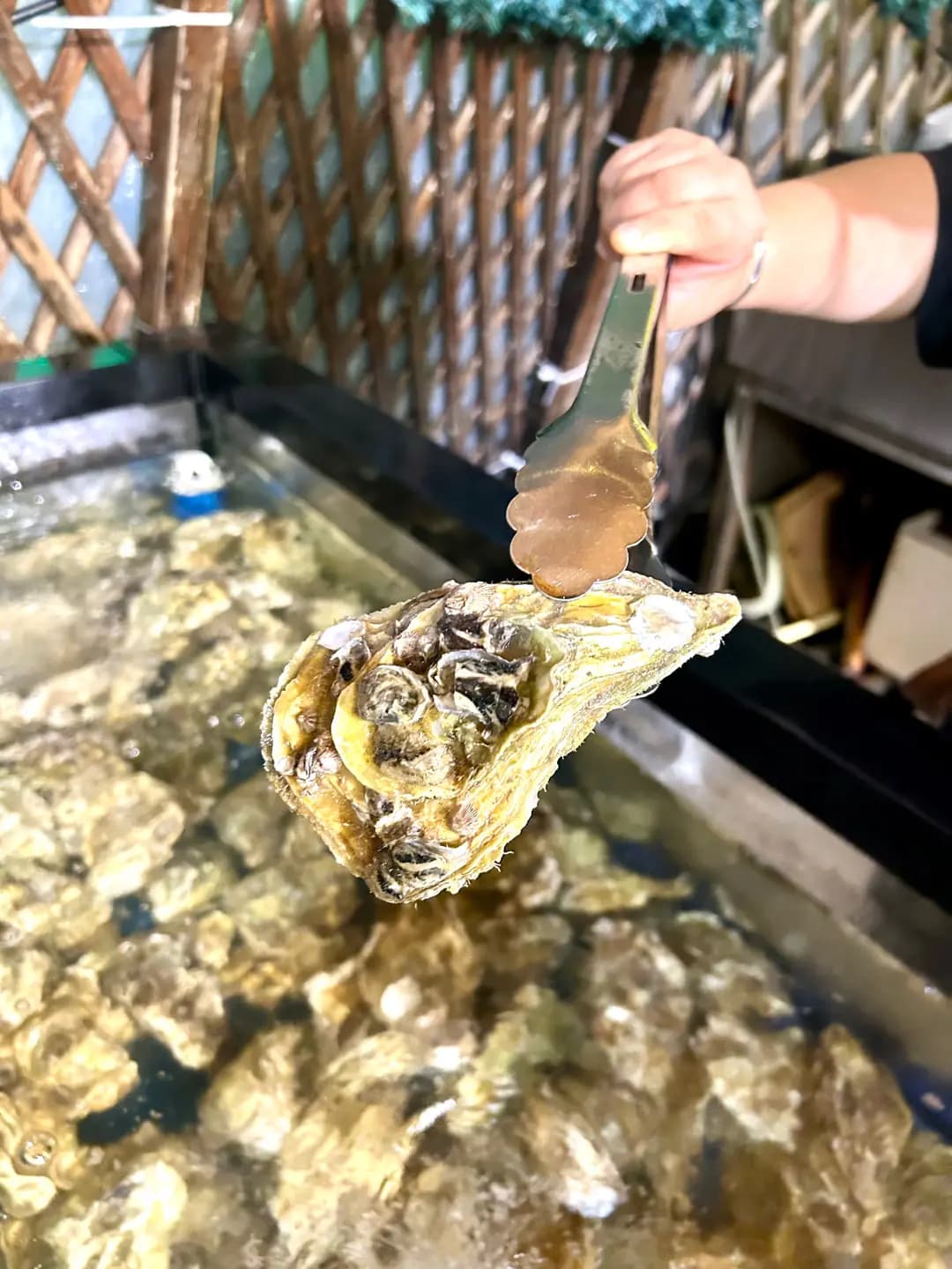 醉辣鮮 (天空之城) photo 5
