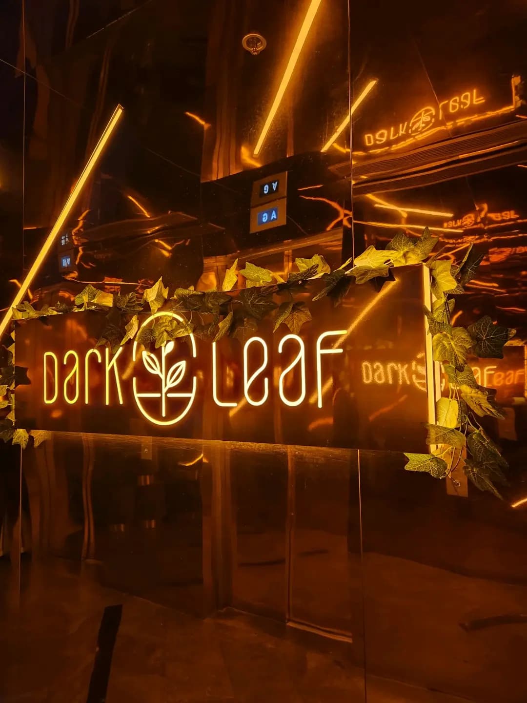 Dark Leaf Cafe & Lounge photo 5