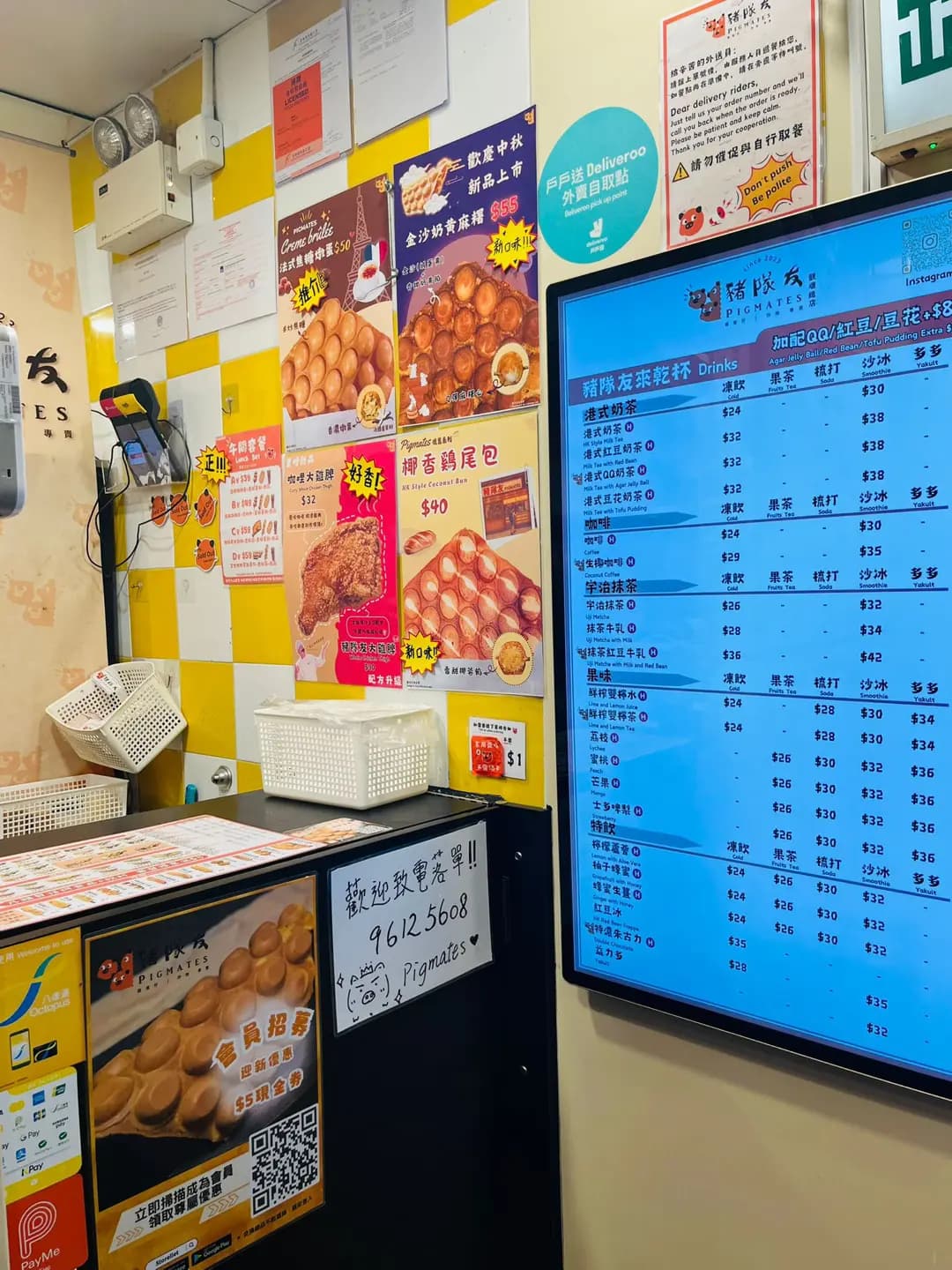 豬隊友 photo 1