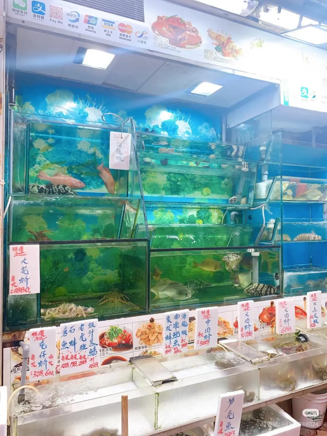 駒記海鮮大排檔 photo 4