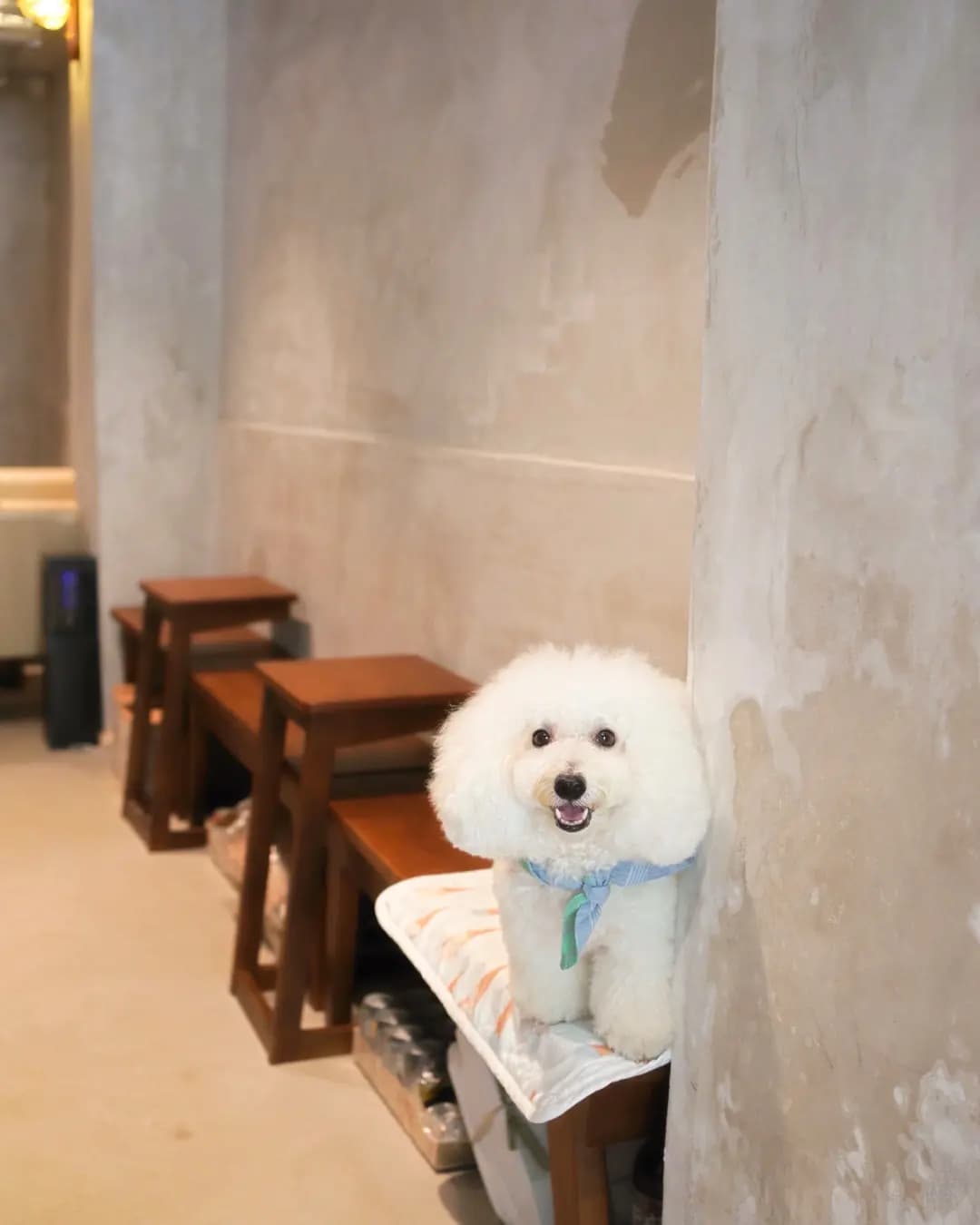 Cuma Cafe & Bar photo 1