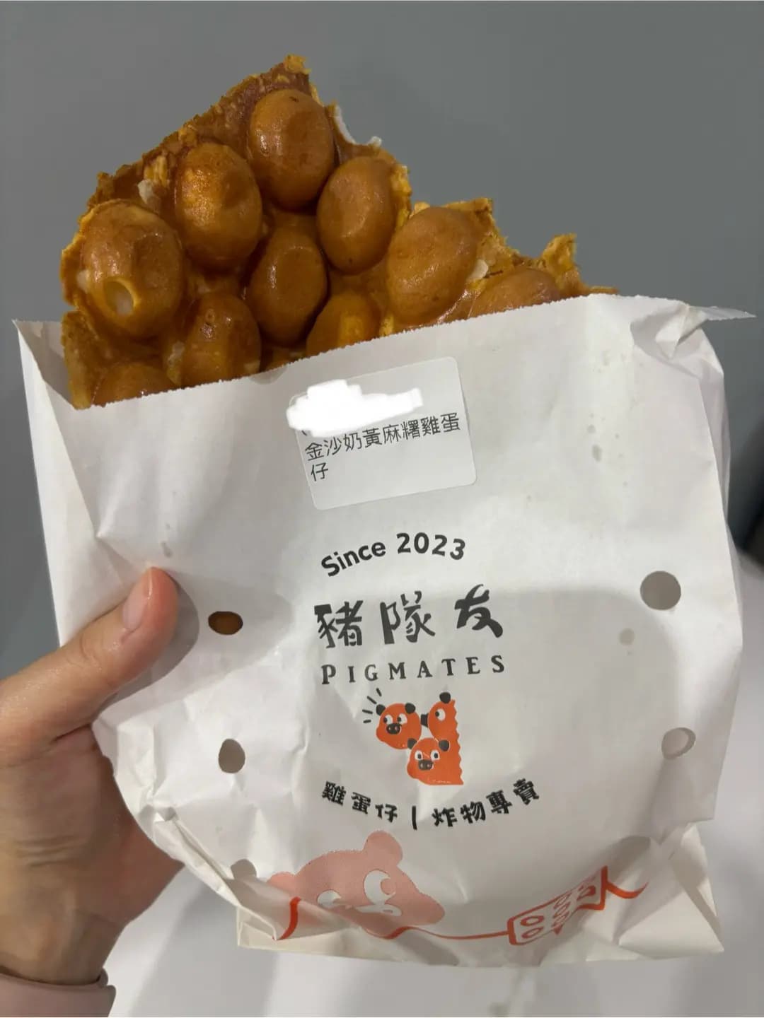 豬隊友 photo 8
