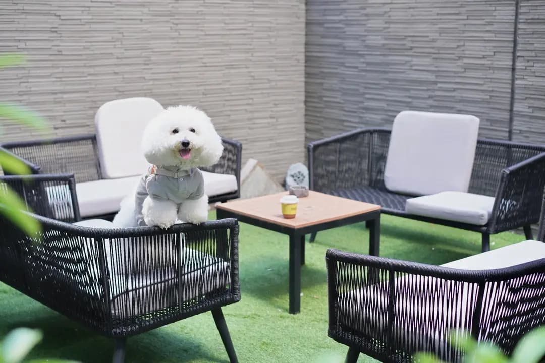 素啡工場 (登龍街) photo 3