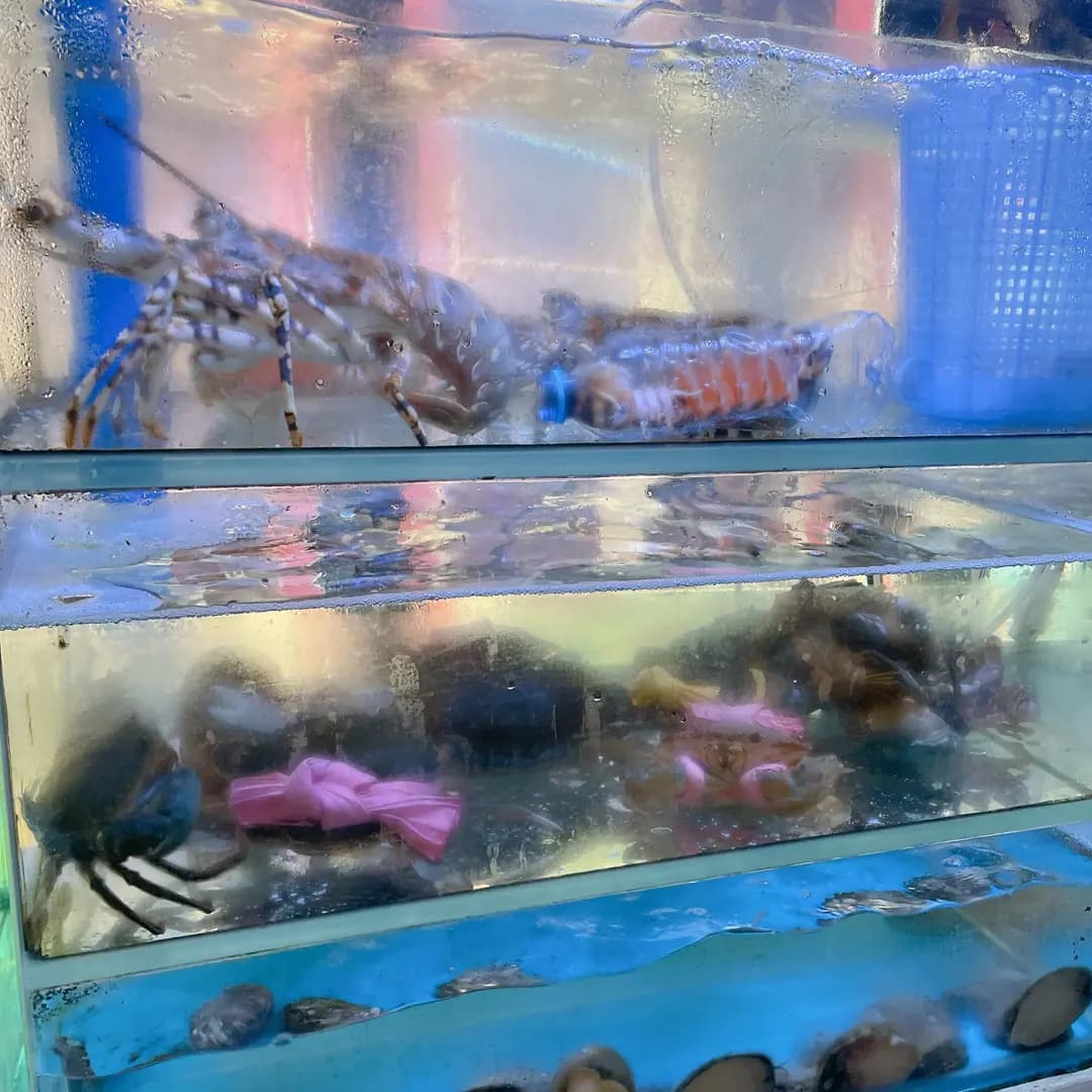 港泰海鮮酒家 photo 3