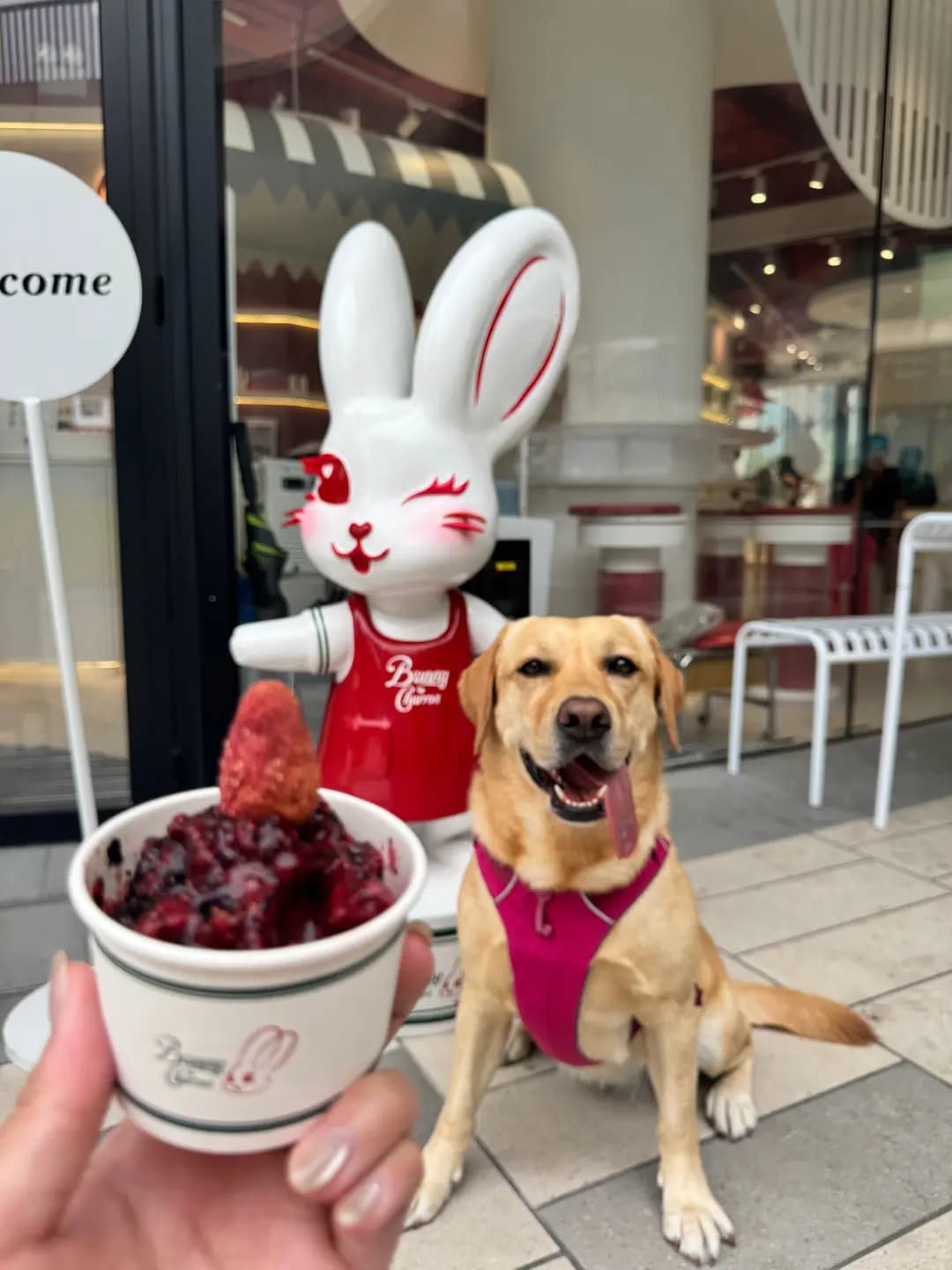 Bunny Churros (西沙GO PARK) photo 5