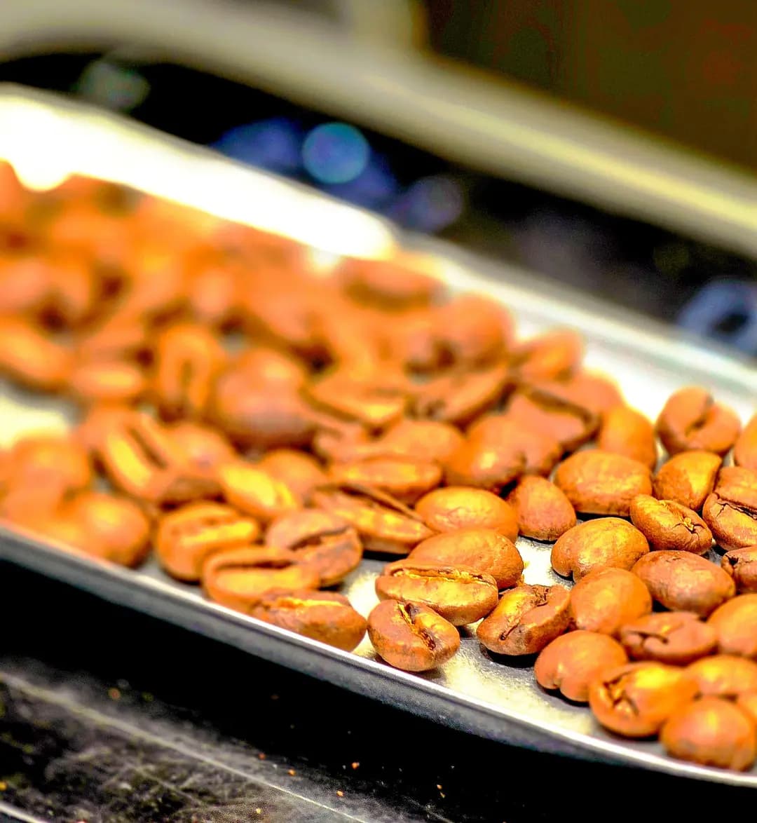 Craft Coffee Roaster (經信商業大廈) photo 3