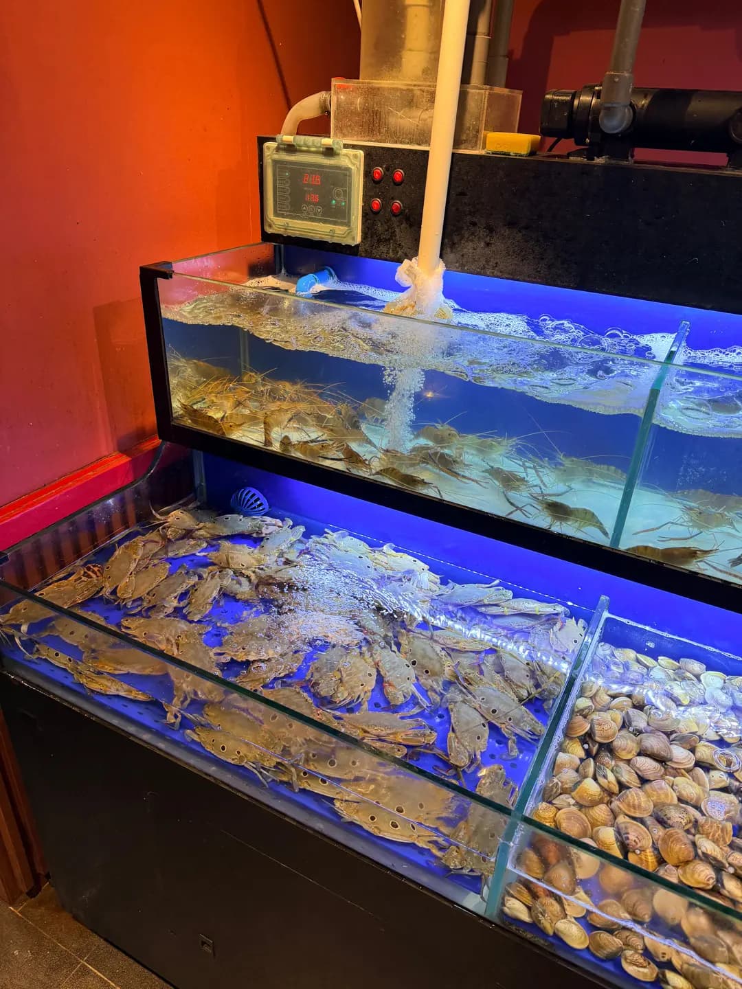 北角碼頭海鮮火鍋放題 photo 6