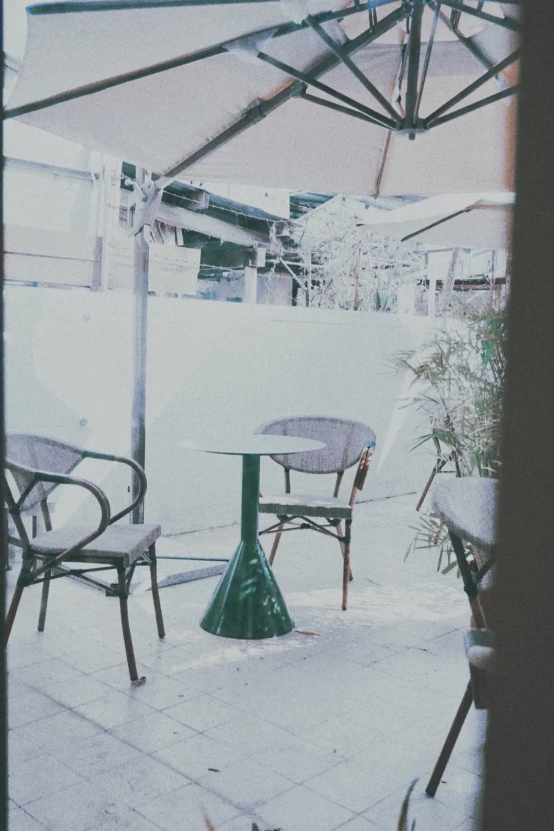 海圖白舍 photo 3