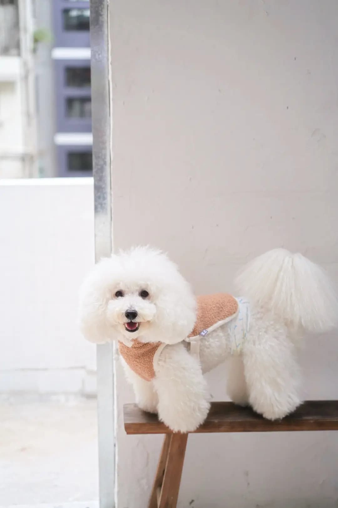 半路咖啡 photo 5