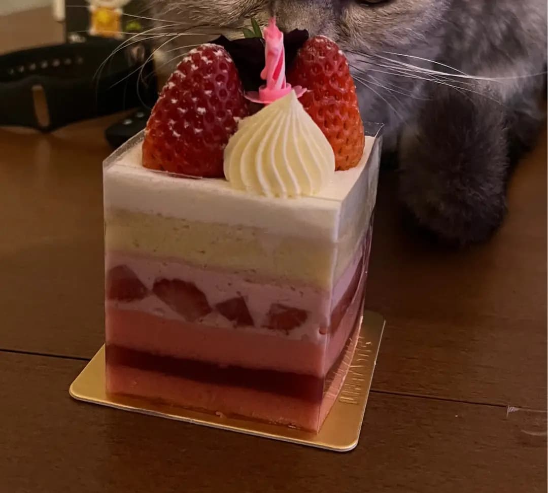 LIFETASTIC Patisserie (荃灣廣場) photo 1