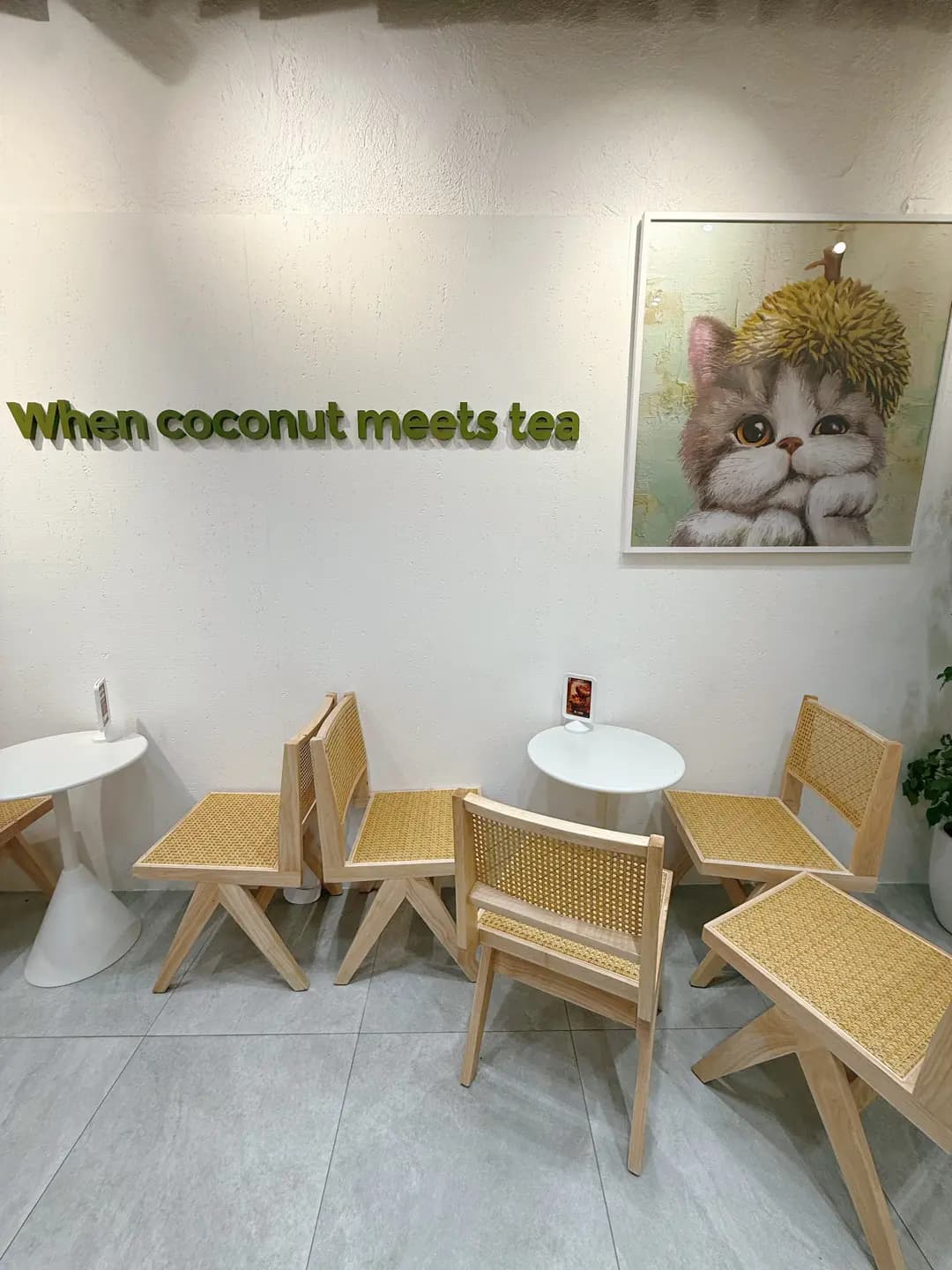 茶大椰 (Plaza 228) photo 4