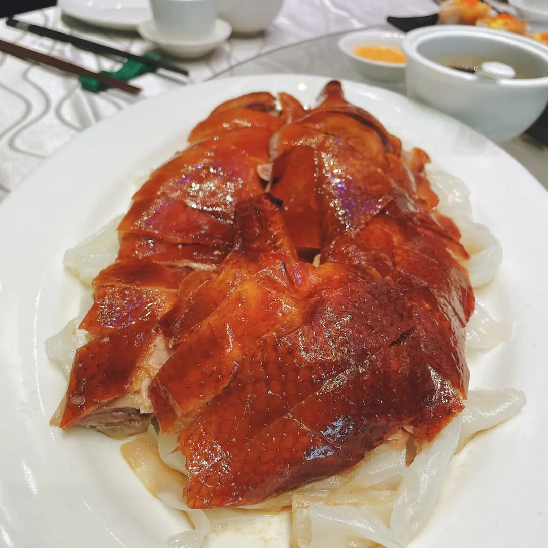 星海 (鱷魚恤中心) photo 8