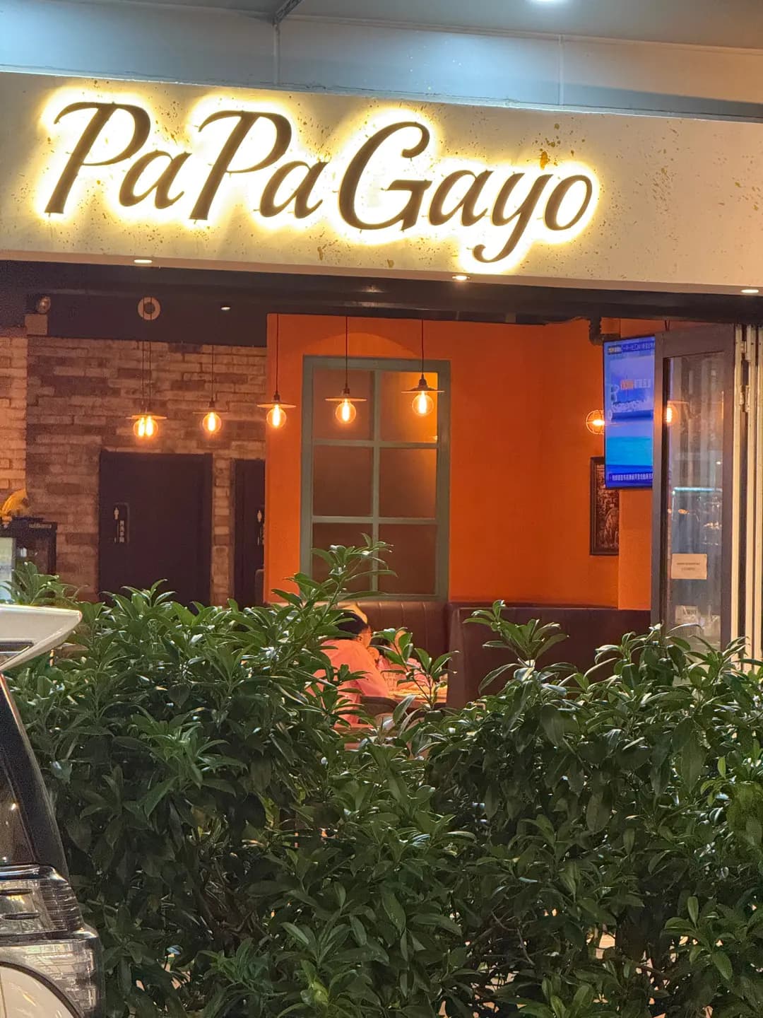 PaPaGayo photo 1