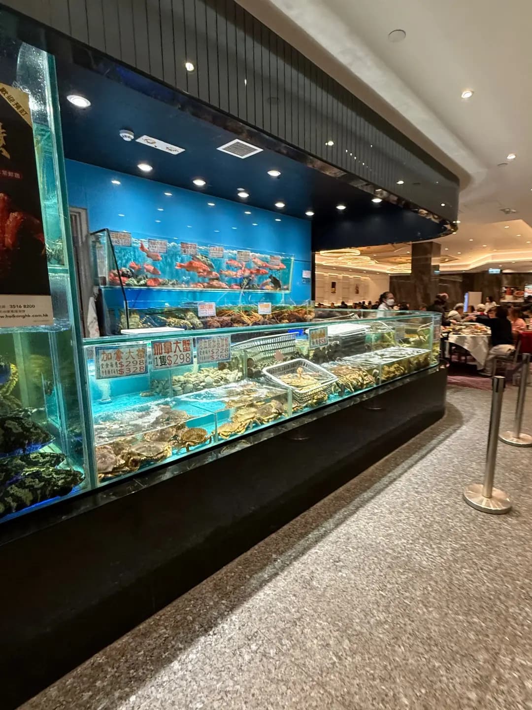 海港酒家 photo 3