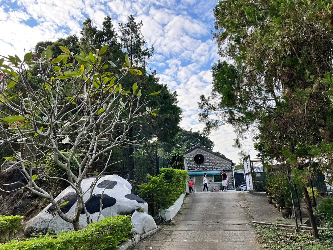 農場鮮奶有限公司 photo 4