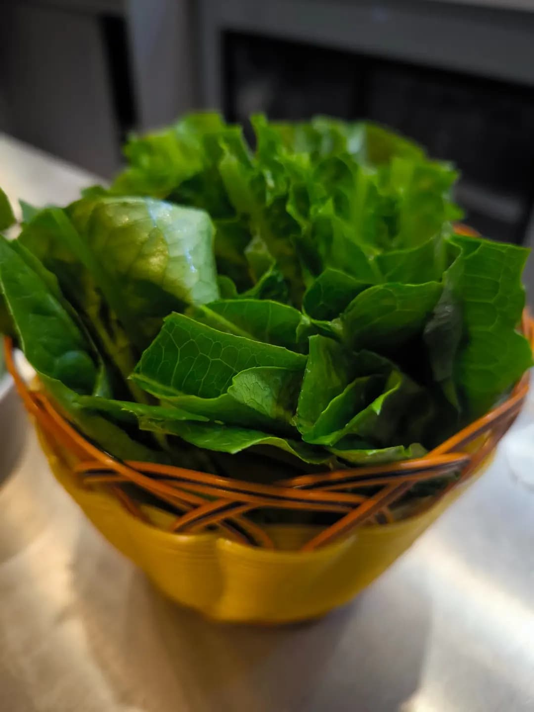 漢龍雞煲烤魚 photo 7