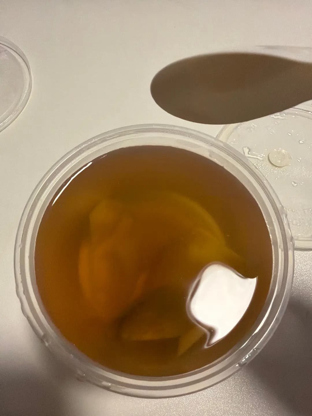 麻甩佬狗仔粉 (好順利大廈) photo 1