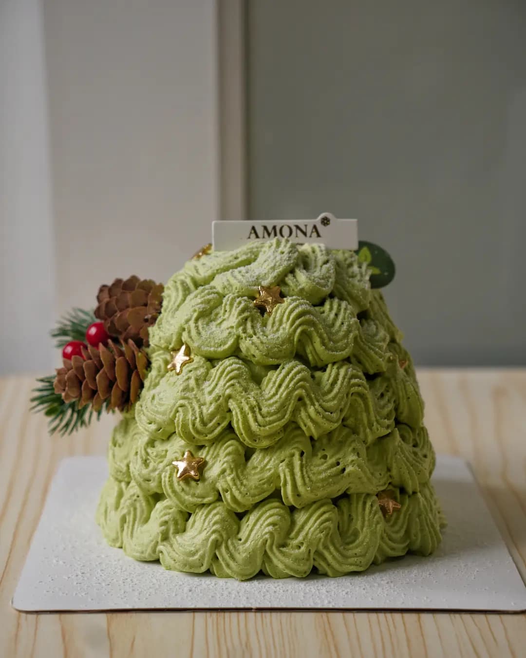 AMONA photo 6