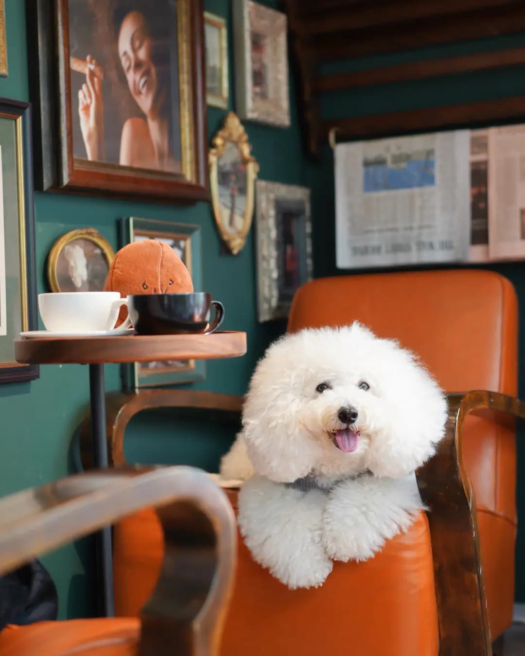 酷啡88 photo 3