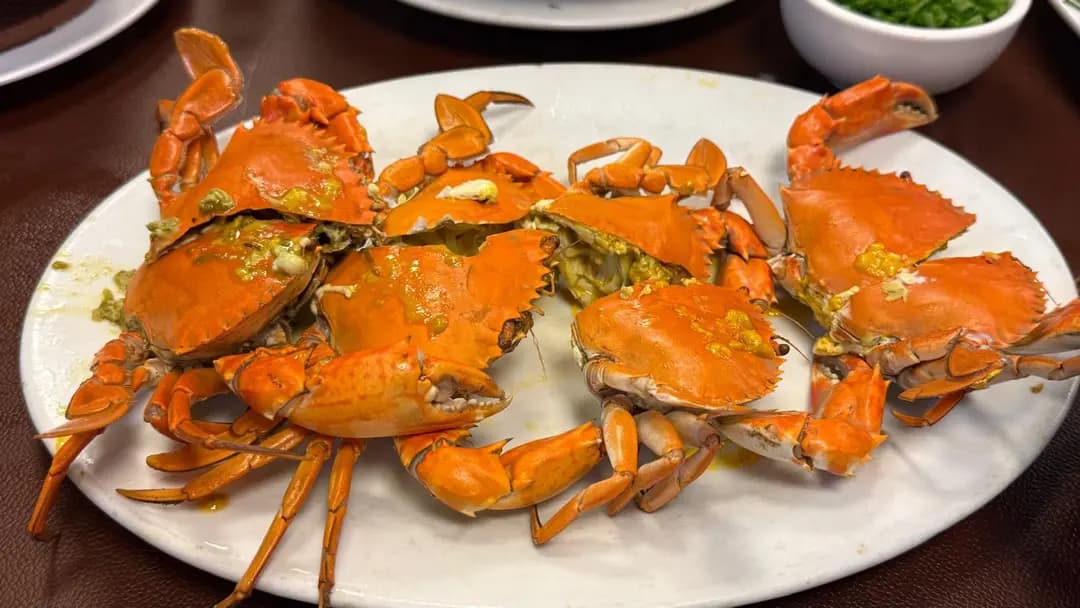 新小炒皇金寶海鮮酒家 photo 2