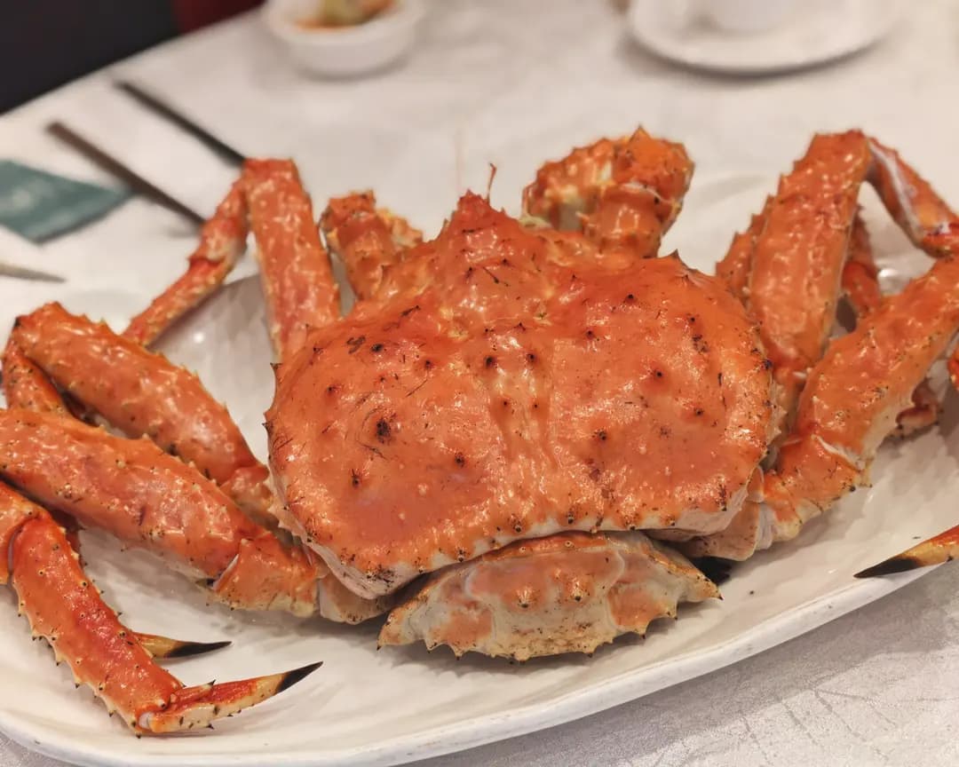 茶皇漁港 photo 1