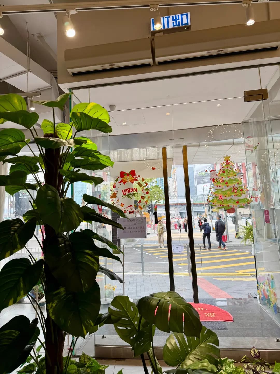 樹熊 photo 6