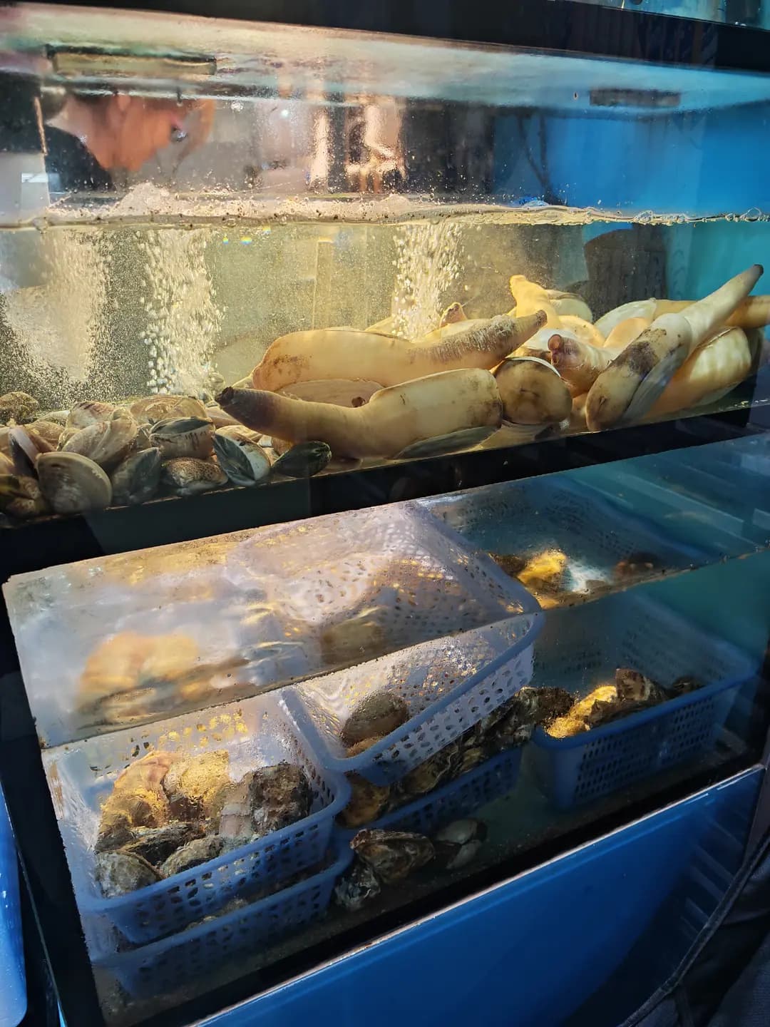 淦·水產 photo 5