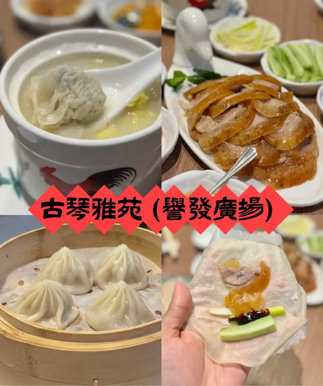 古琴雅苑 (譽發廣場) photo 3