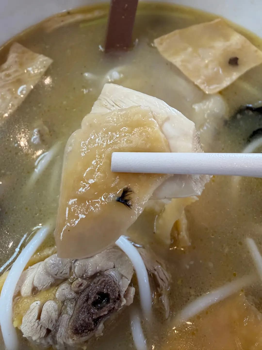 川膠線 photo 5