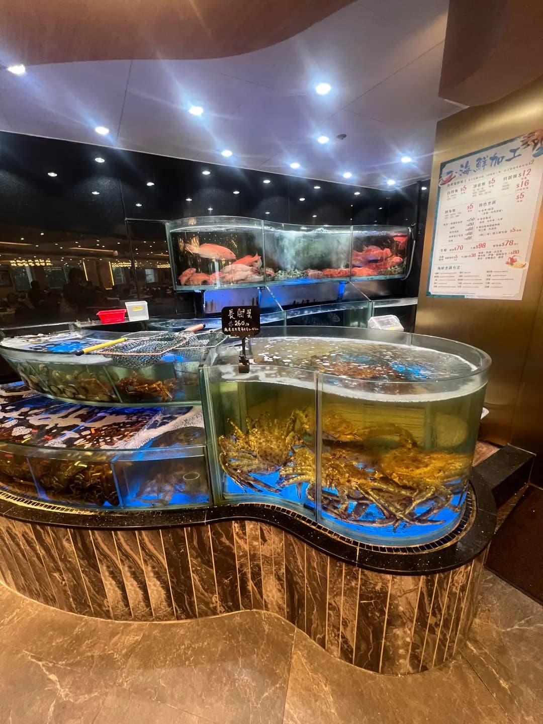 茶皇漁港 photo 6