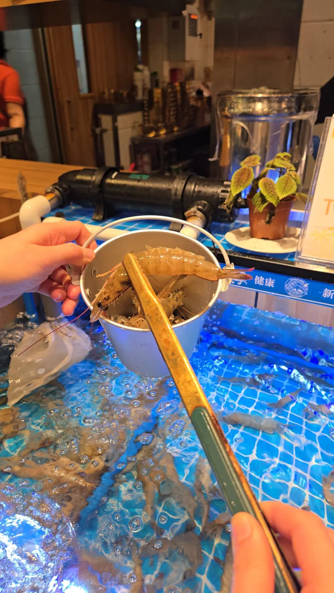 泰金鍋 (亞太中心) photo 7