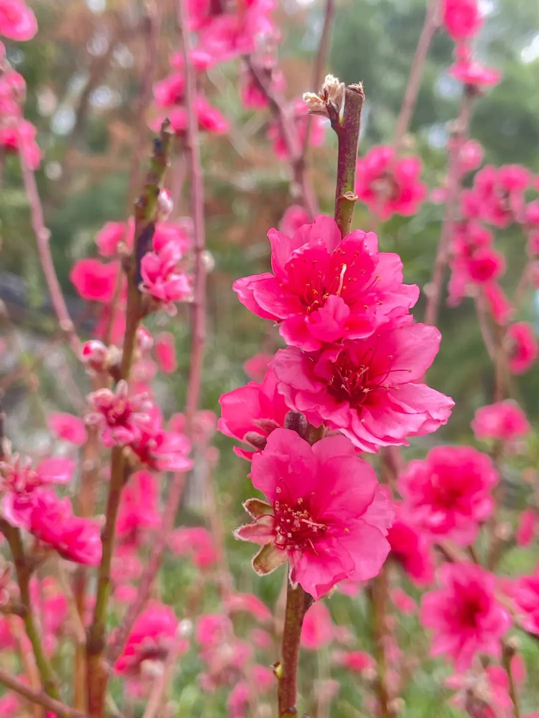 雯軒小廚 photo 1