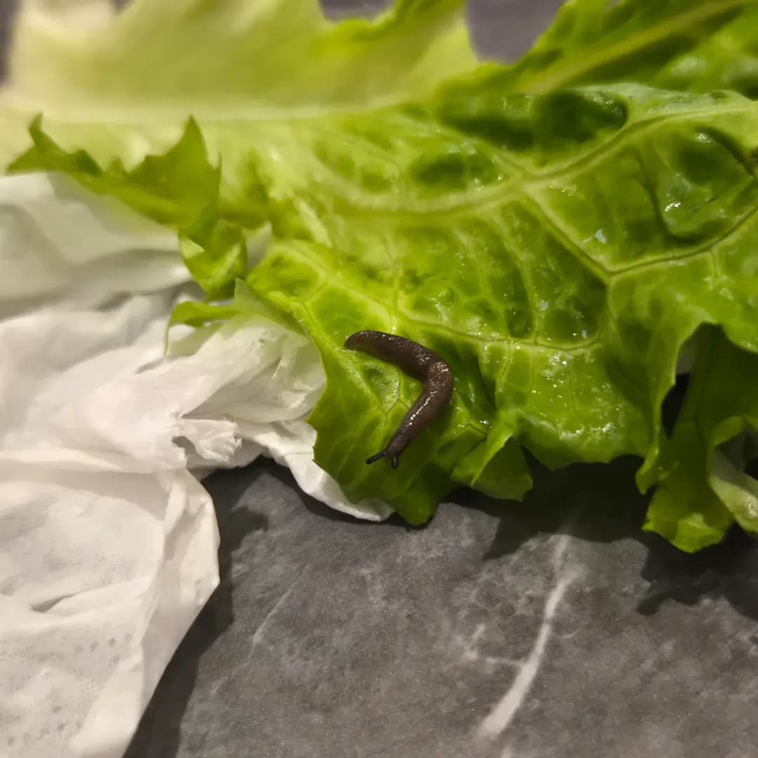 茶飯叁少 photo 2
