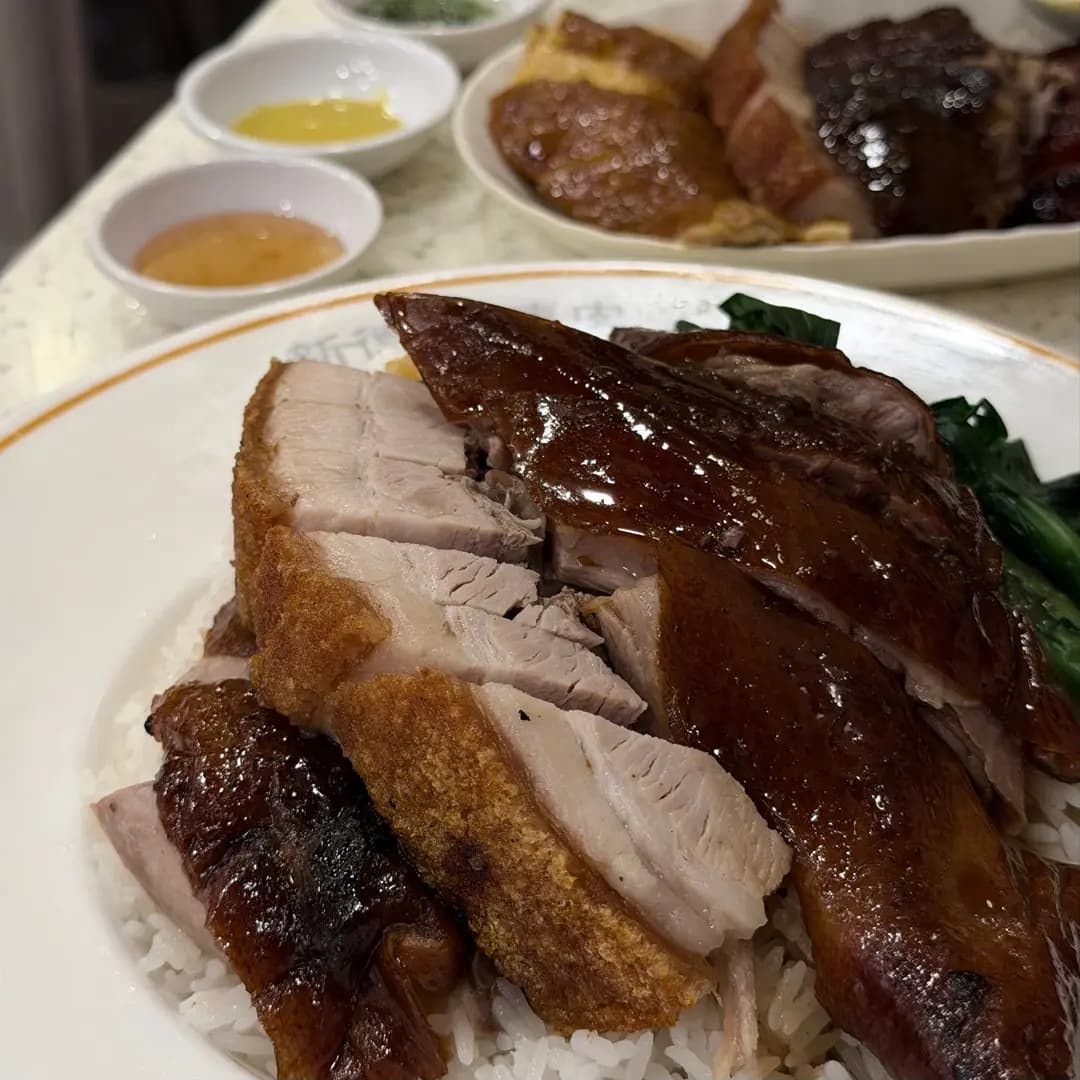 新德興陳皮燒鵝 photo 3