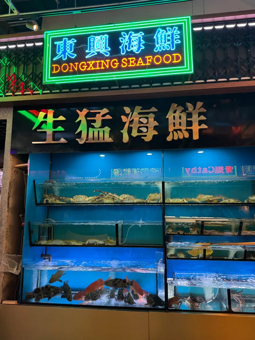 船嘉·福 photo 3