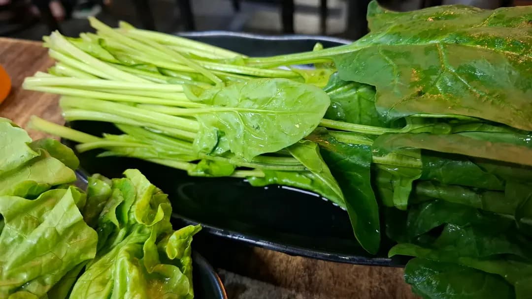 松本日式料理放題 photo 3