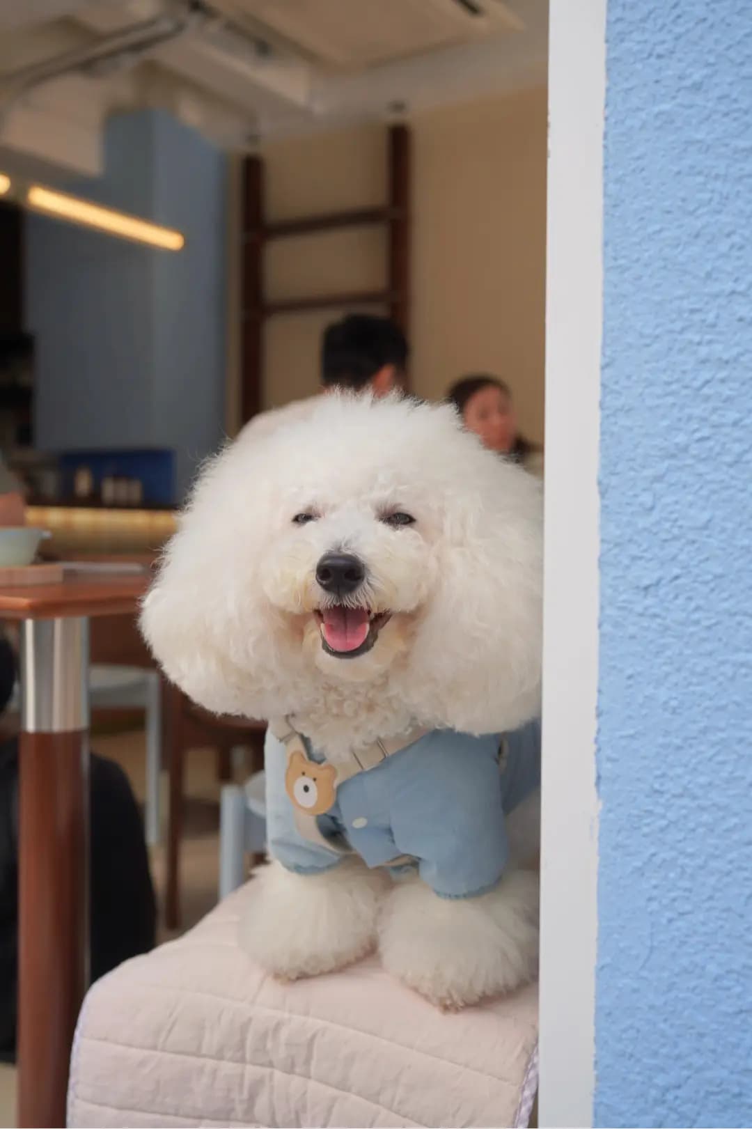 In:joi photo 3