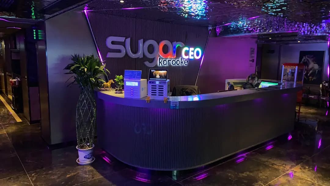 Sugar CEO Karaoke photo 4