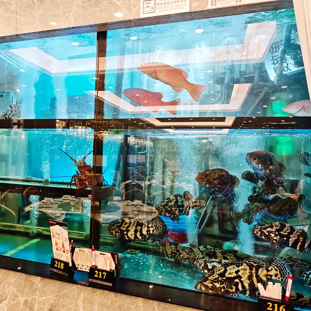 豪宴海鮮酒家 photo 6