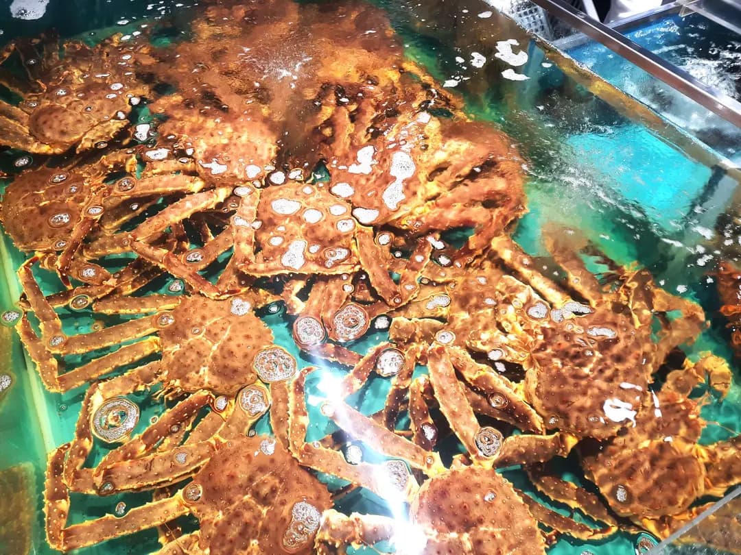 海港酒家 photo 3