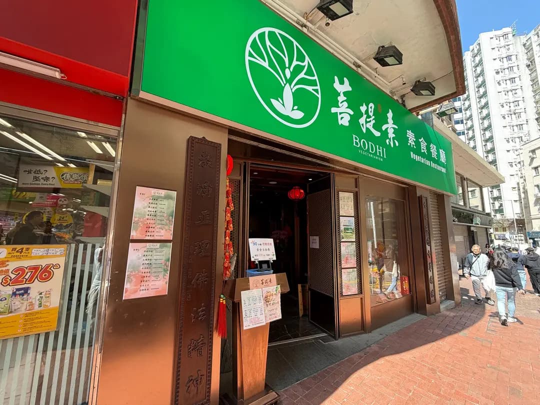 菩提素 photo 4