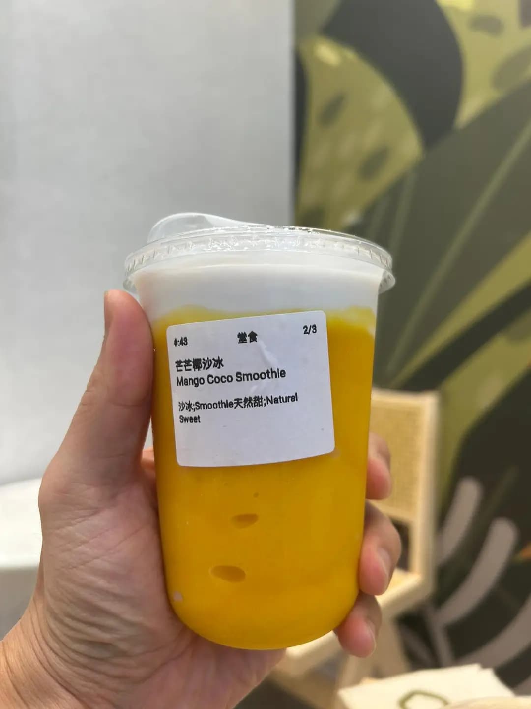 茶大椰 (Mikiki) photo 8