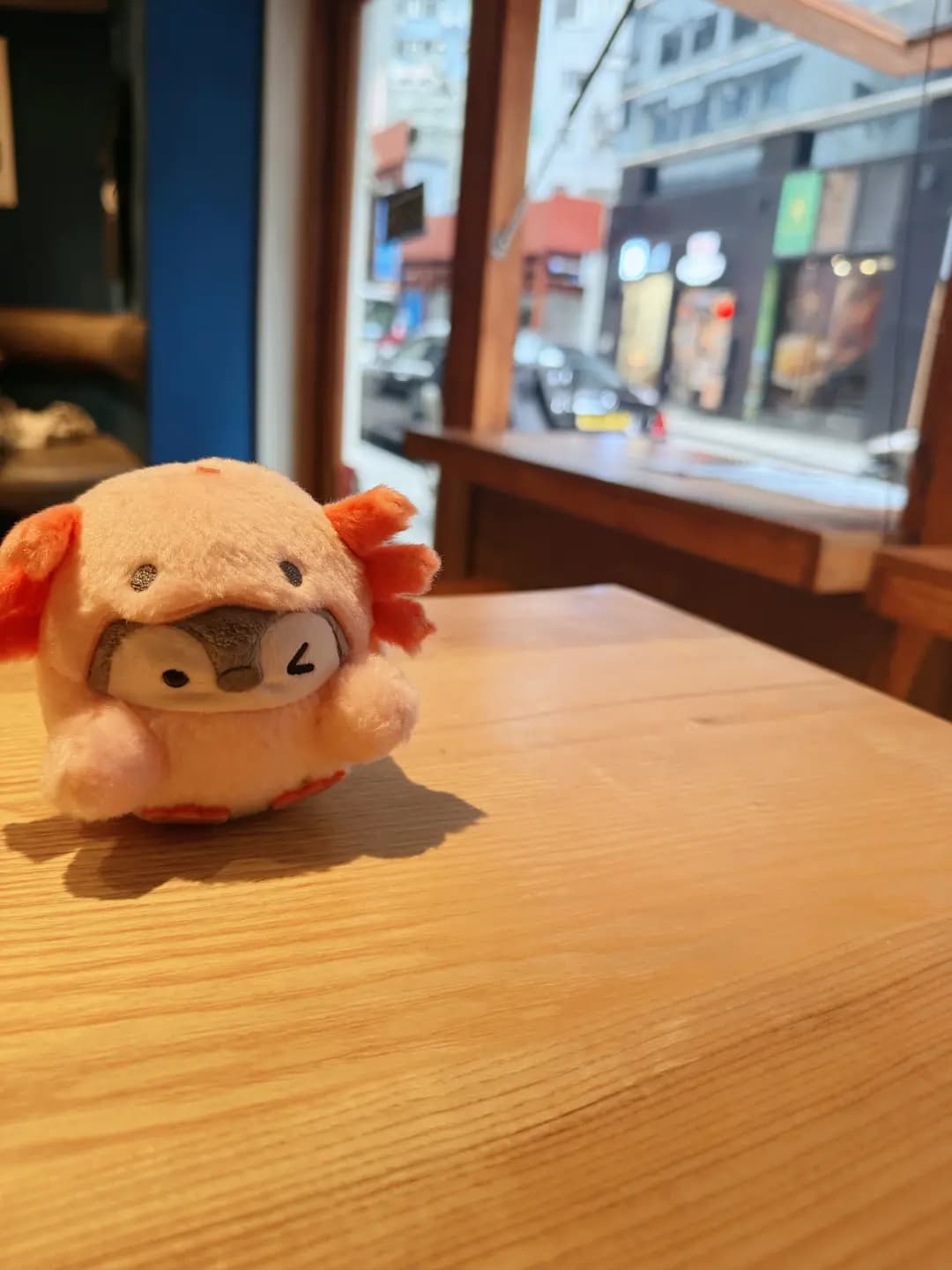 HONBO photo 7