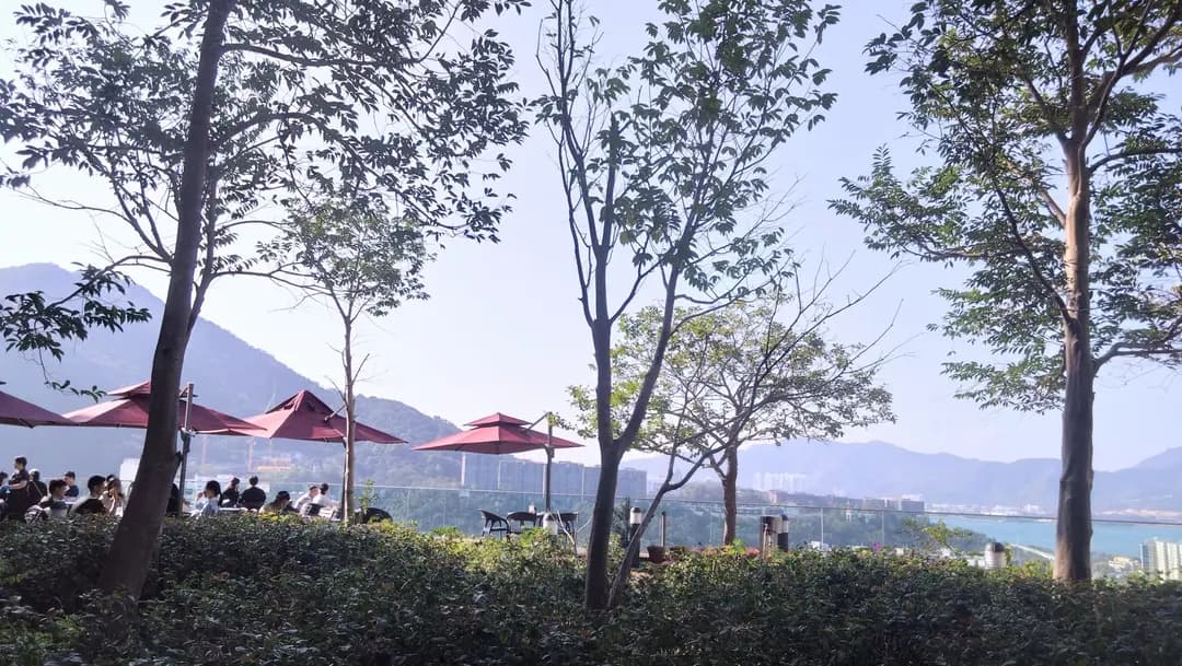 Cafe Tolo photo 1