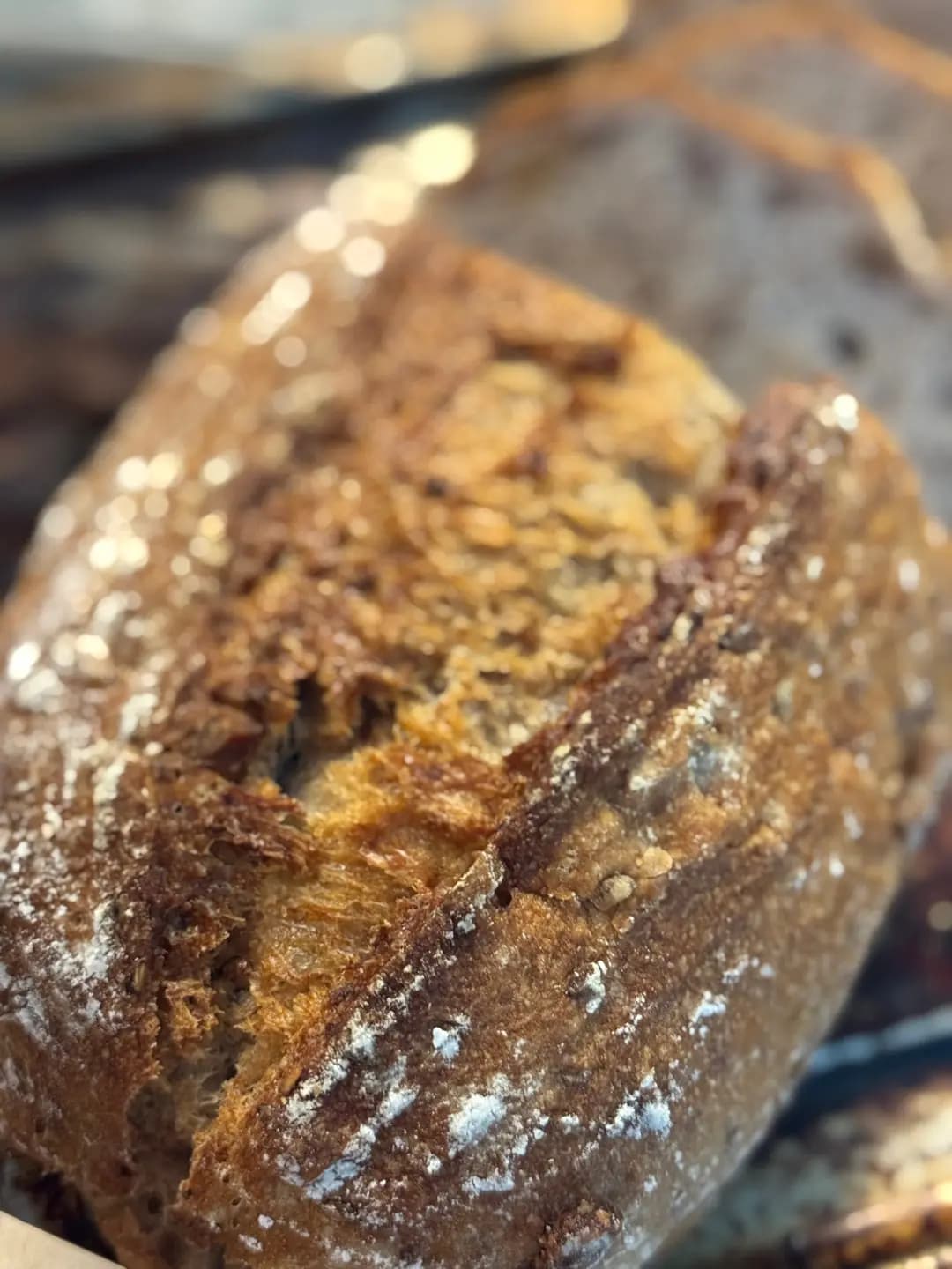 Taste+ Bakery photo 2