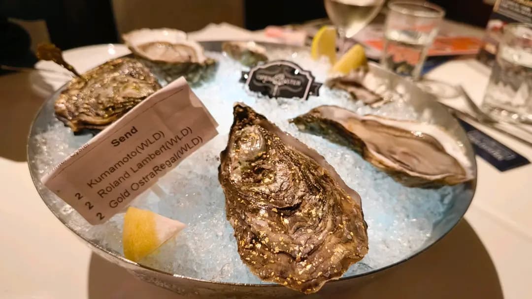 OPEN OYSTER photo 1