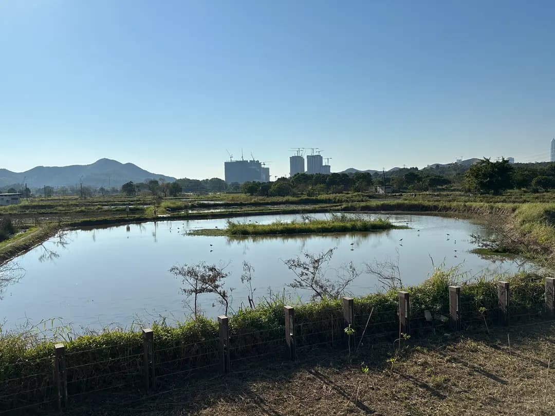 豆美味豆花團 photo 6